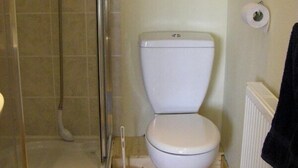 Un baño con inodoro, ducha y radiador.