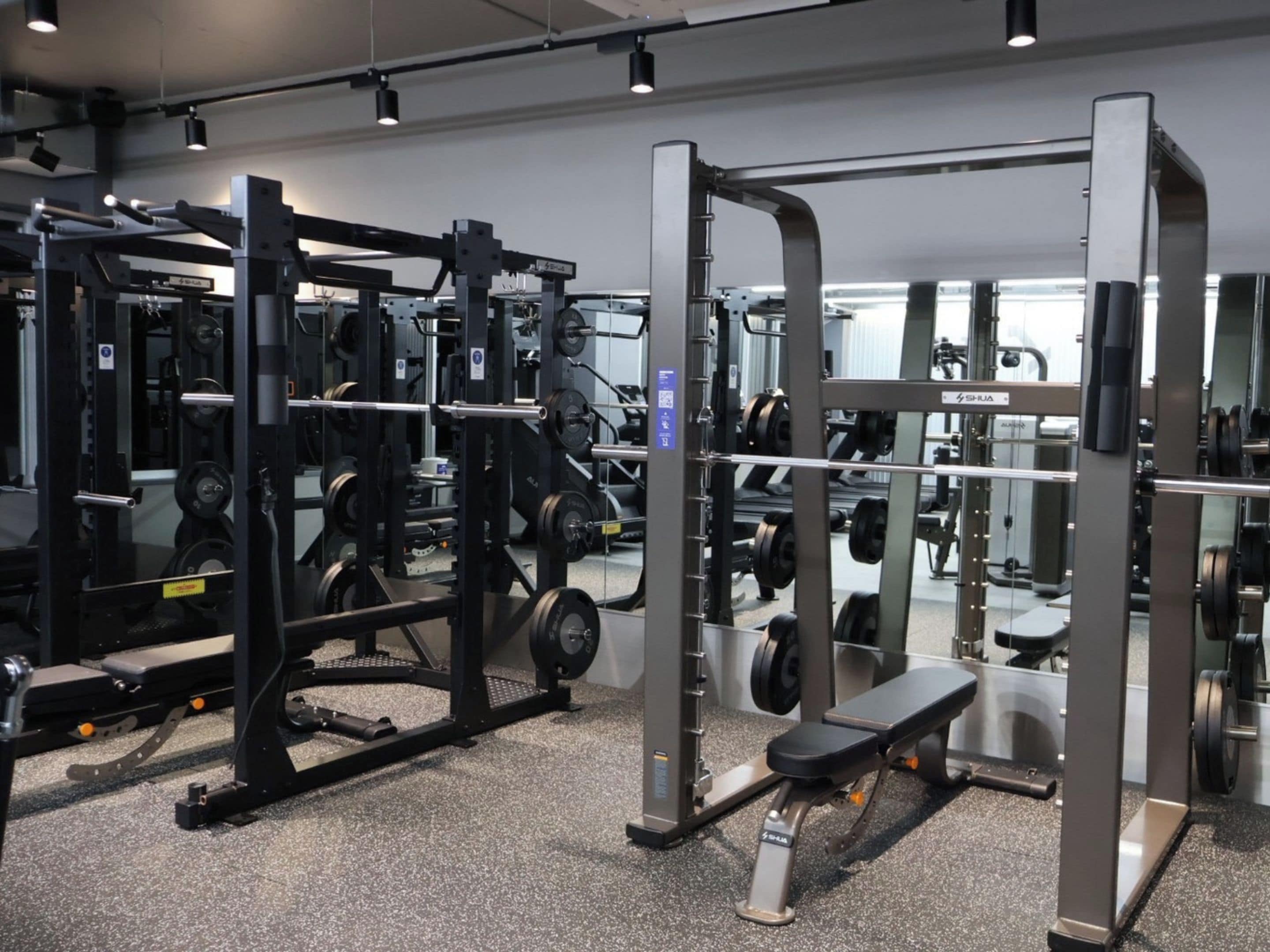 Un gimnasio con varios equipos de levantamiento de pesas, incluyendo racks para sentadillas y bancos.
