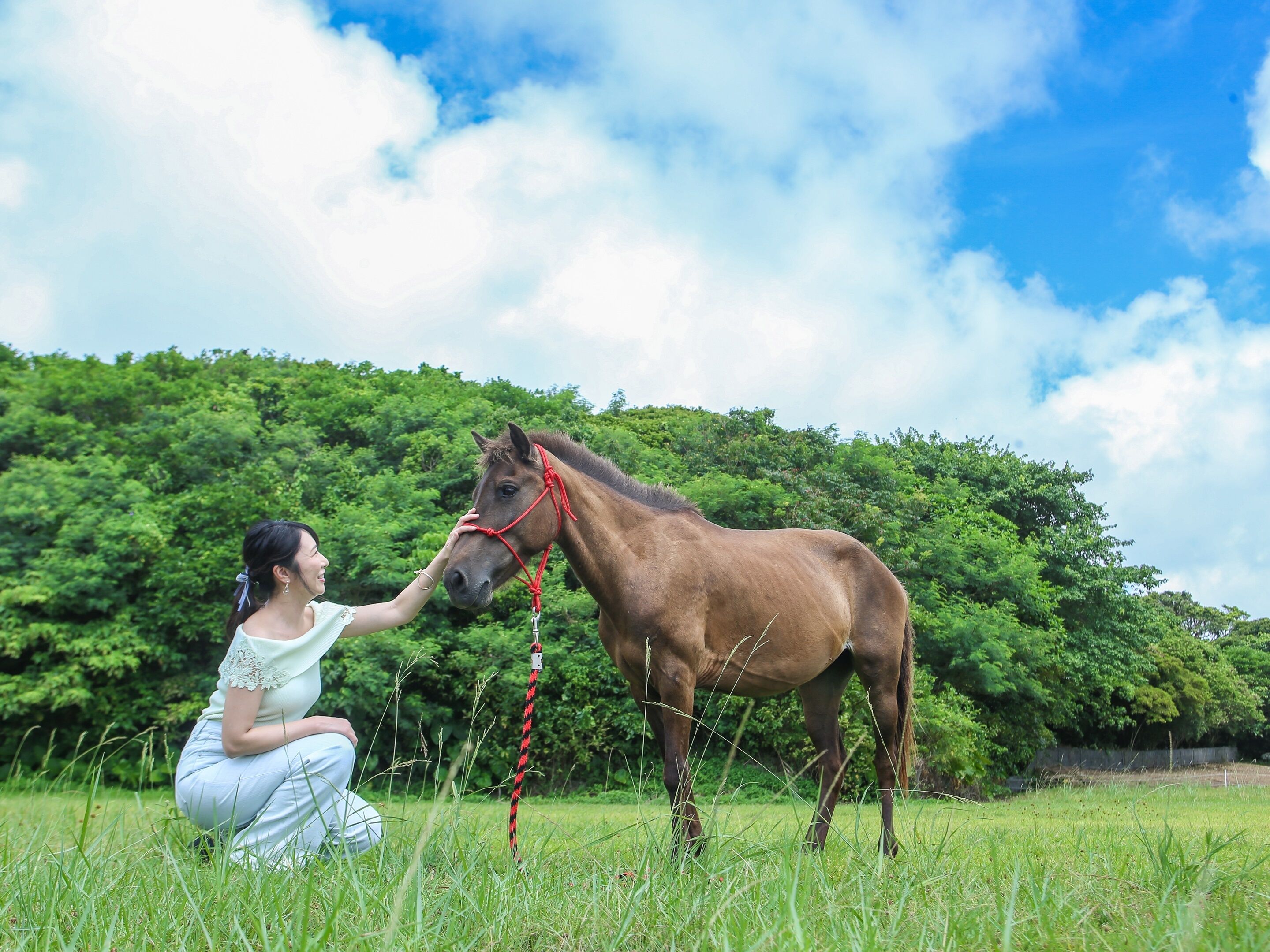 A person sitting on grass with a horse.