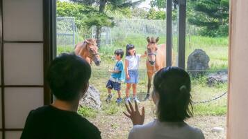 A group of people observing horses through a glass barrier at an outdoor facility.