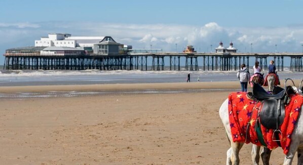 Beach nearby - Sussex Hotel (Blackpool)