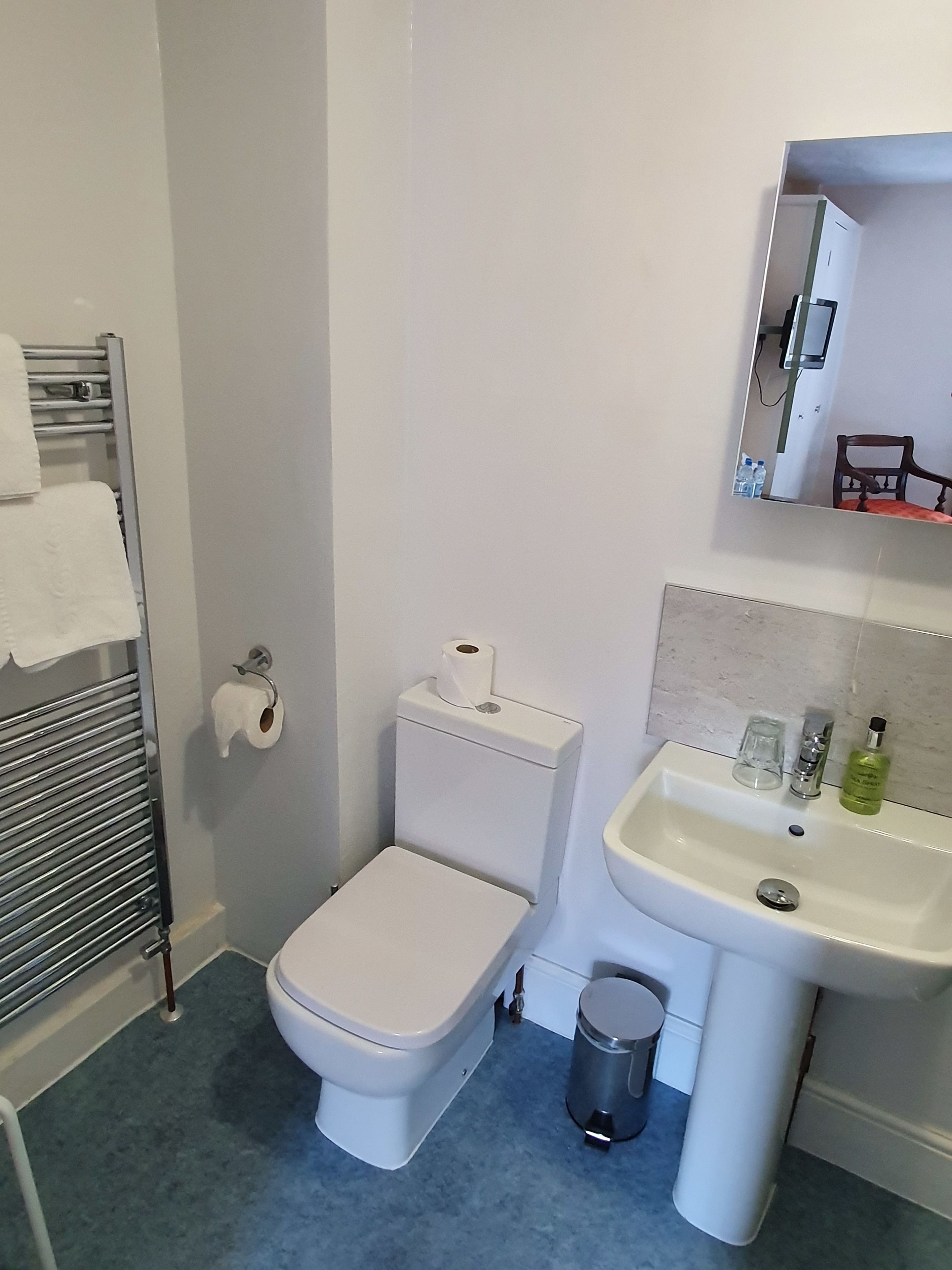 A bathroom with a toilet, sink, and mirror.