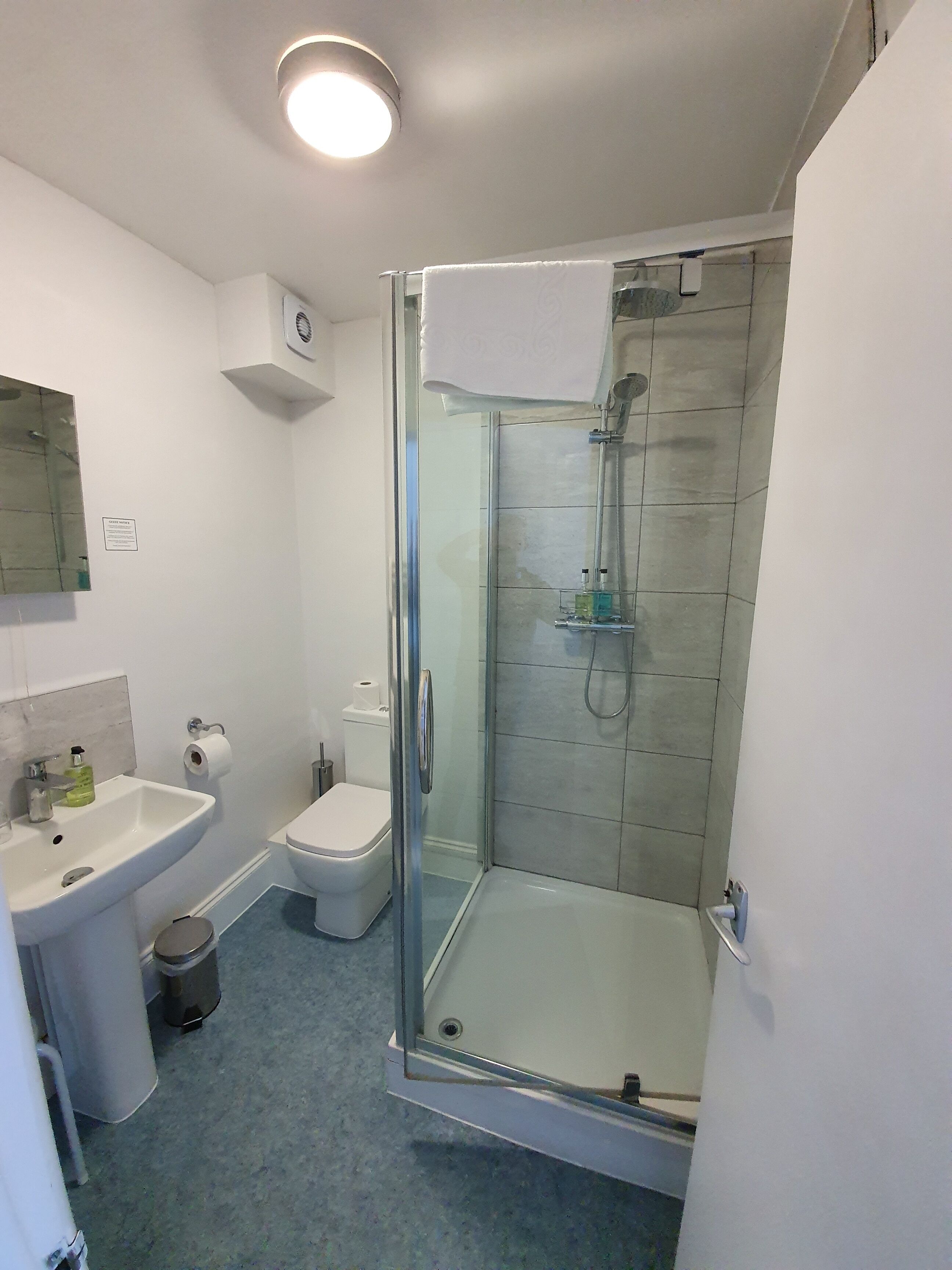 A bathroom with a glass-enclosed shower, a white sink, and a toilet.