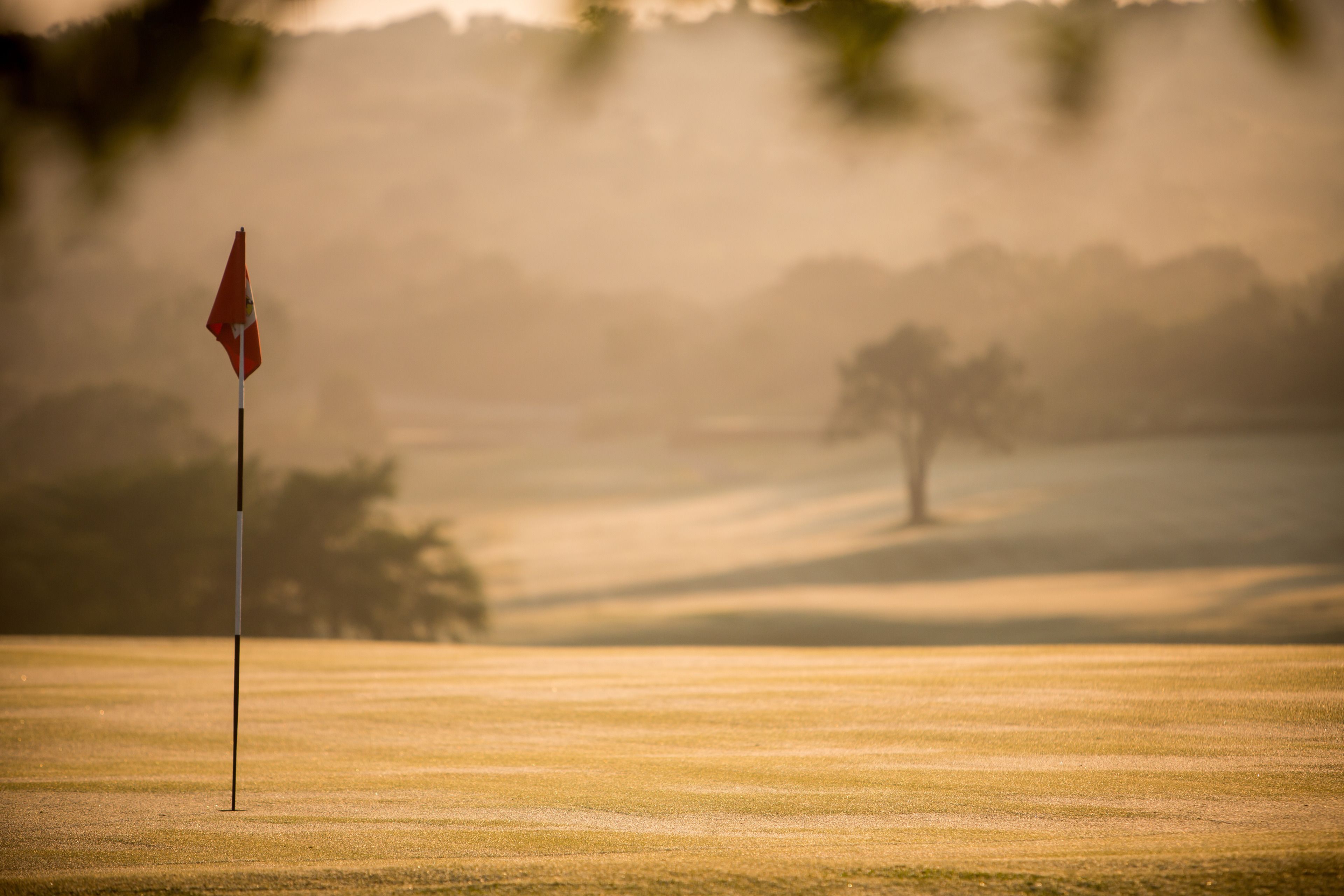 A golf course with a flagstick in the foreground and a tree in the background.