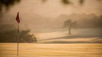 A golf course with a flagstick in the foreground and a tree in the background.