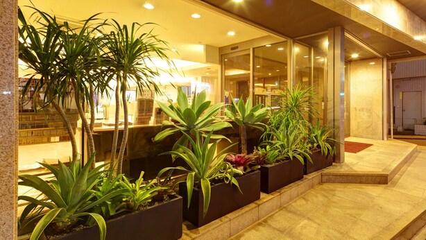 A hotel entrance with a well-lit outdoor area featuring potted plants and a tiled pathway leading to the entrance. - Okinawa Sunplaza Hotel (Naha)