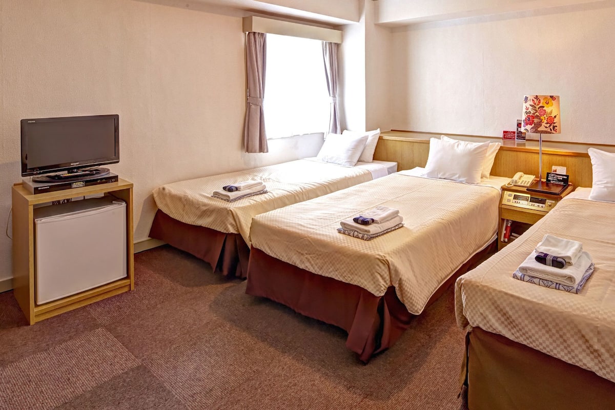 A hotel room with two single beds, a TV, a desk with a phone, and a small cabinet.