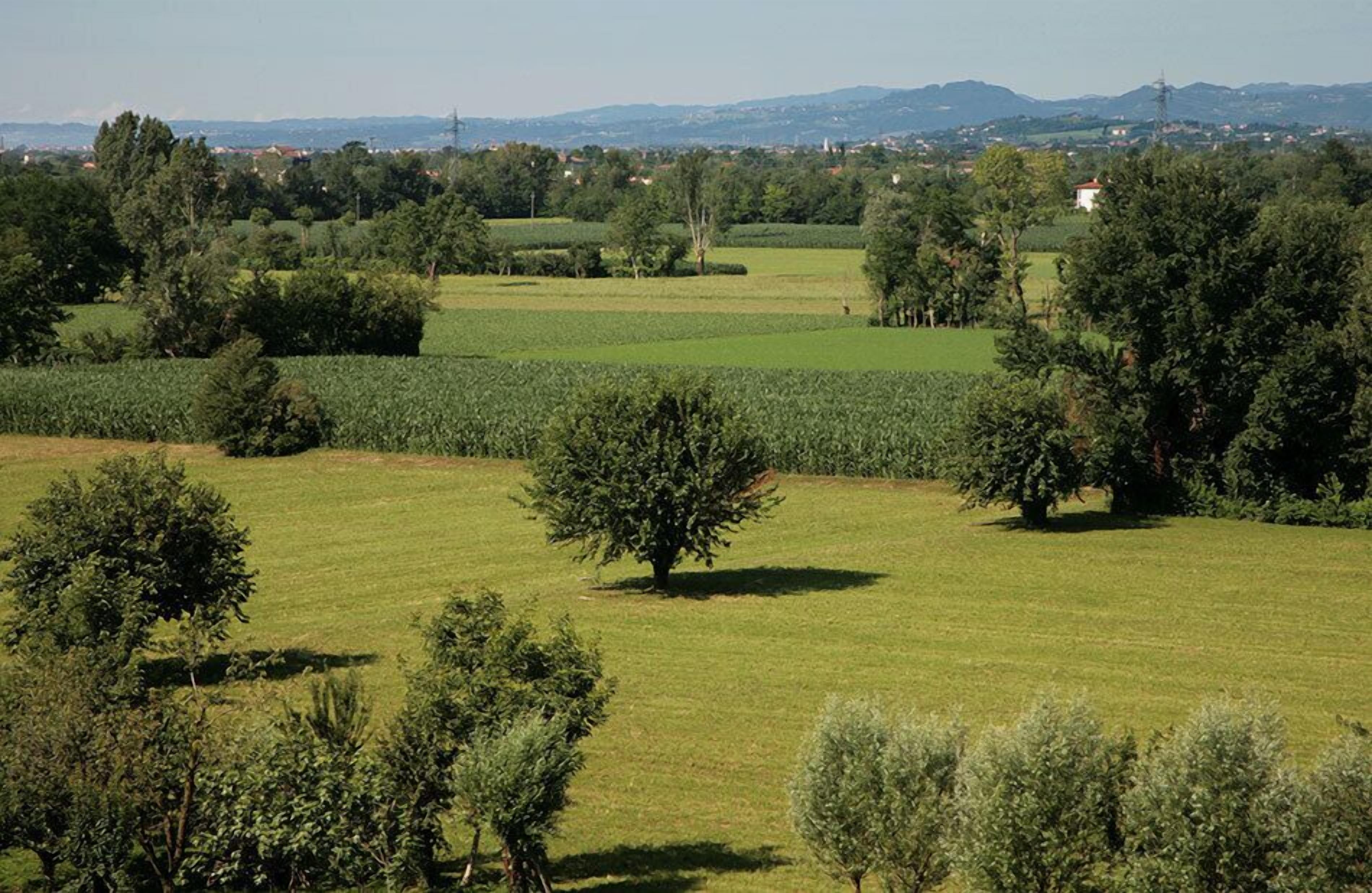 Un paysage rural avec des champs, des arbres et des collines qui se dessinent à l’horizon.