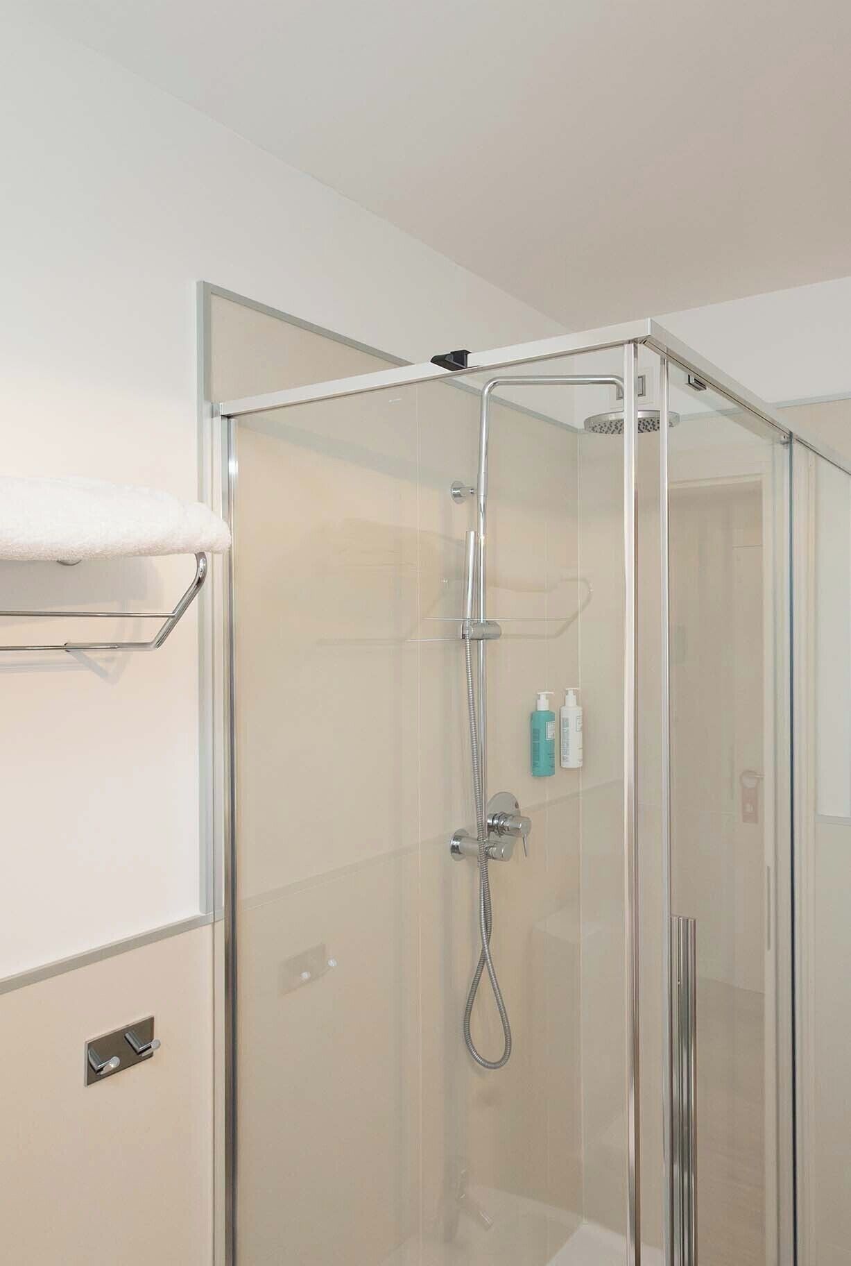 shower, free toiletries, hair dryer, bidet