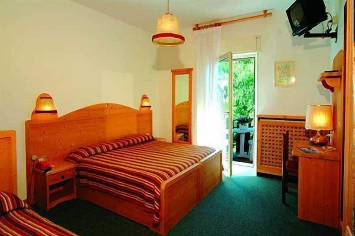 A hotel room with a wooden bed, a desk, a chair, a television, and a window with a view of greenery.