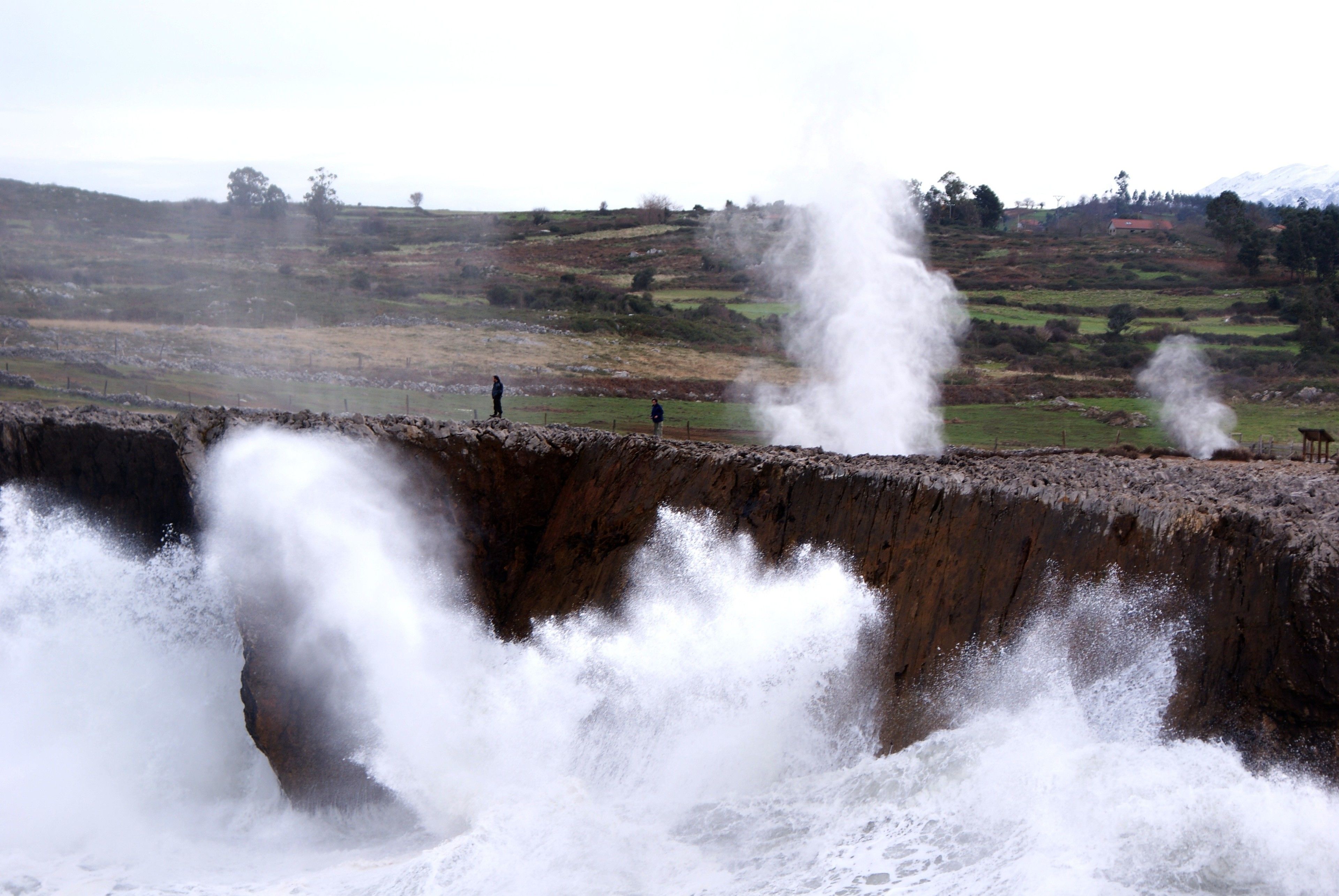 Foto - Heredad de la Cueste