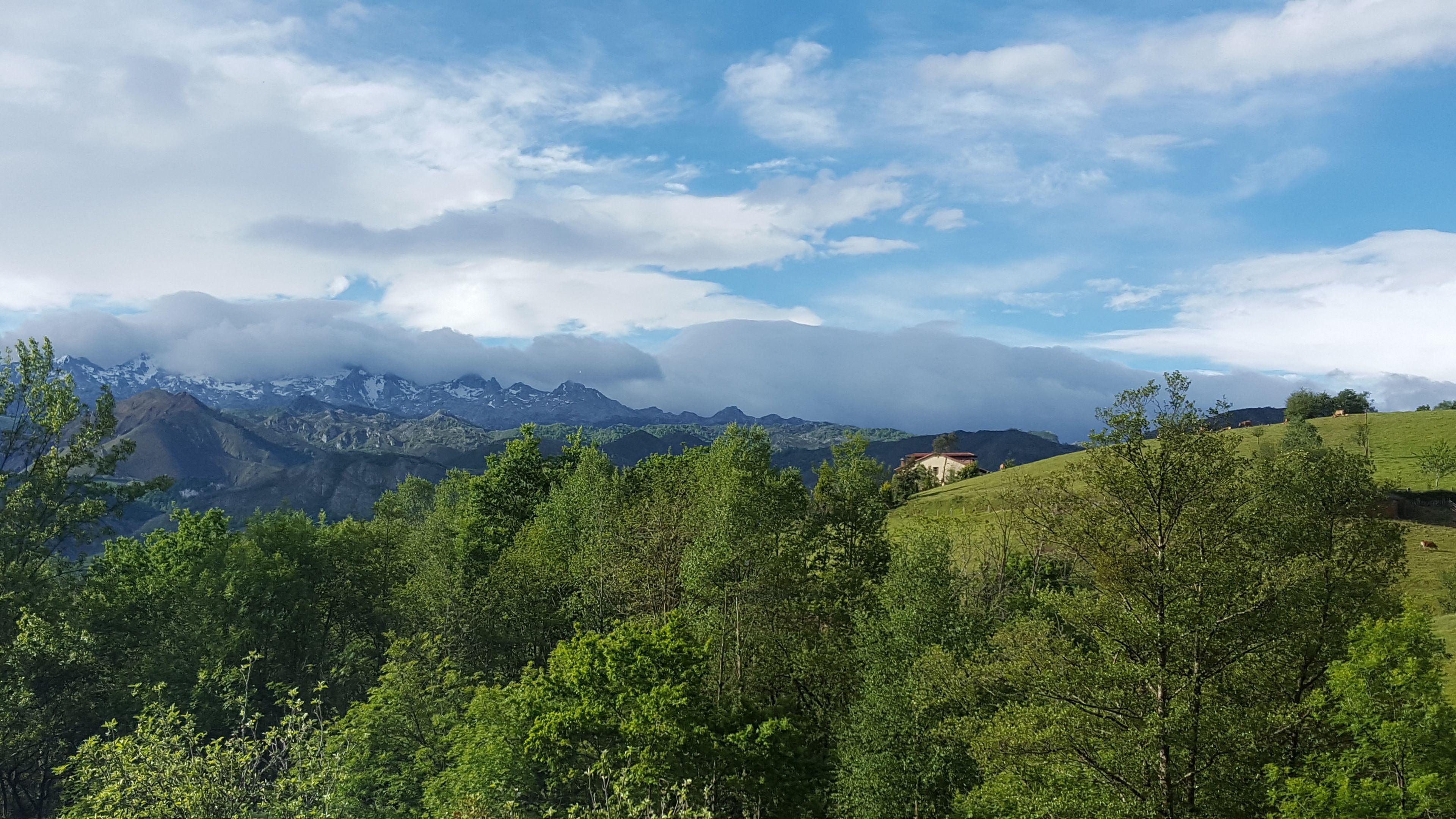 Foto - Heredad de la Cueste