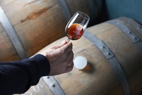 A hand holding a wine glass with a label reading "Tierra de San Vito."