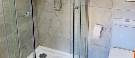 A glass-enclosed shower area with a handheld showerhead and a handheld shower attachment, a white toilet, and a small shelf unit.