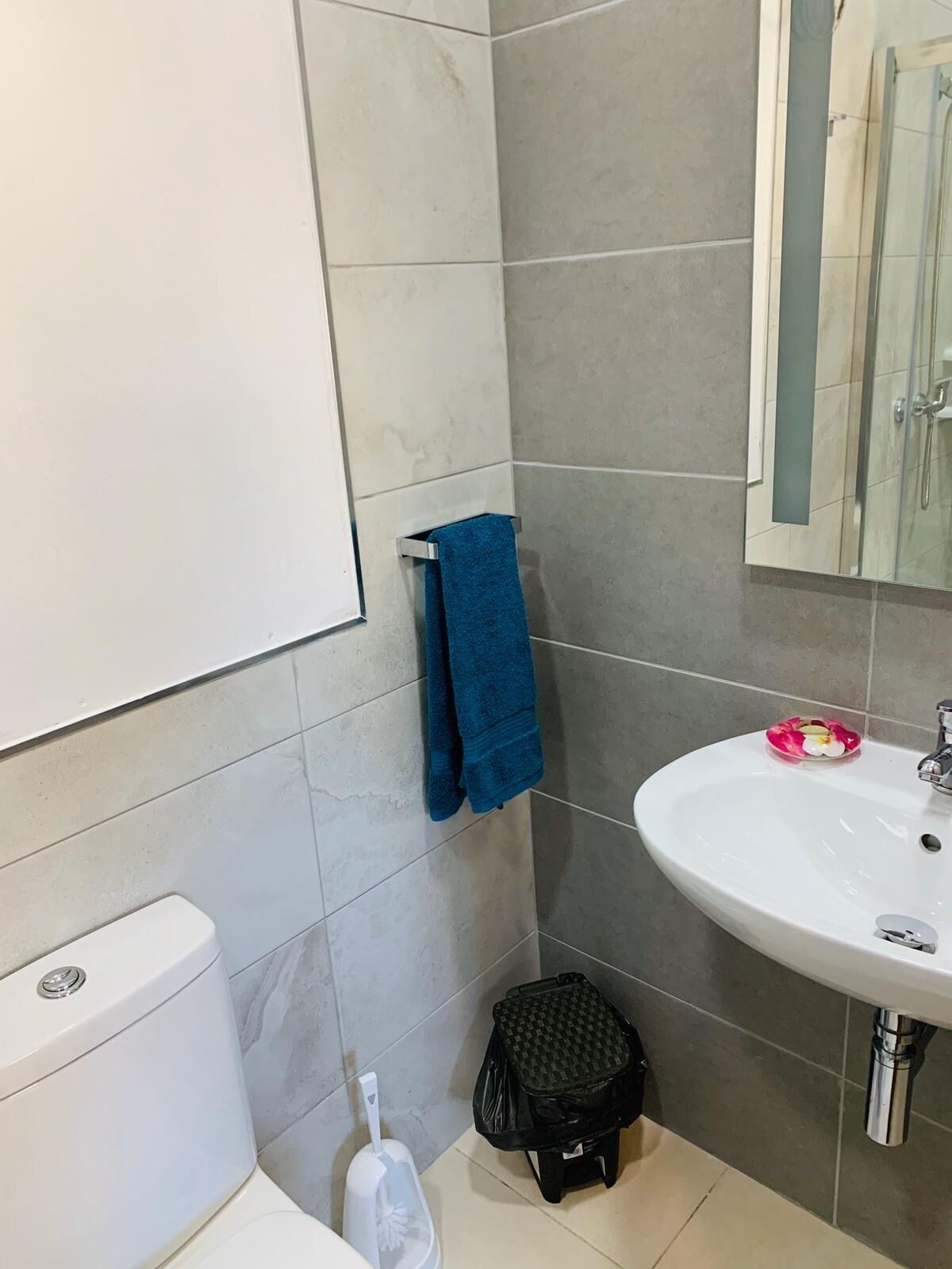 Un bany amb vàter, rentamig i plat de dutxa.