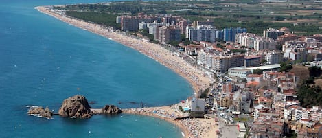 Una spiaggia nelle vicinanze, 3 bar sulla spiaggia