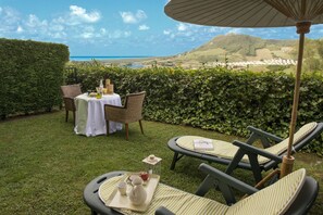 Apartment, Terrace (private garden)