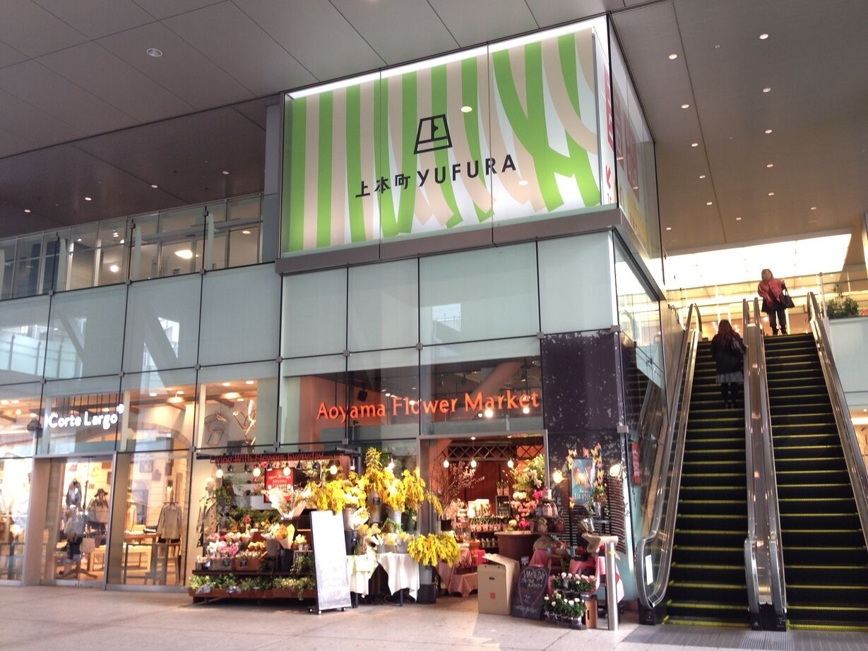 city view from property