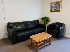 42-inch LED TV with satellite channels, TV