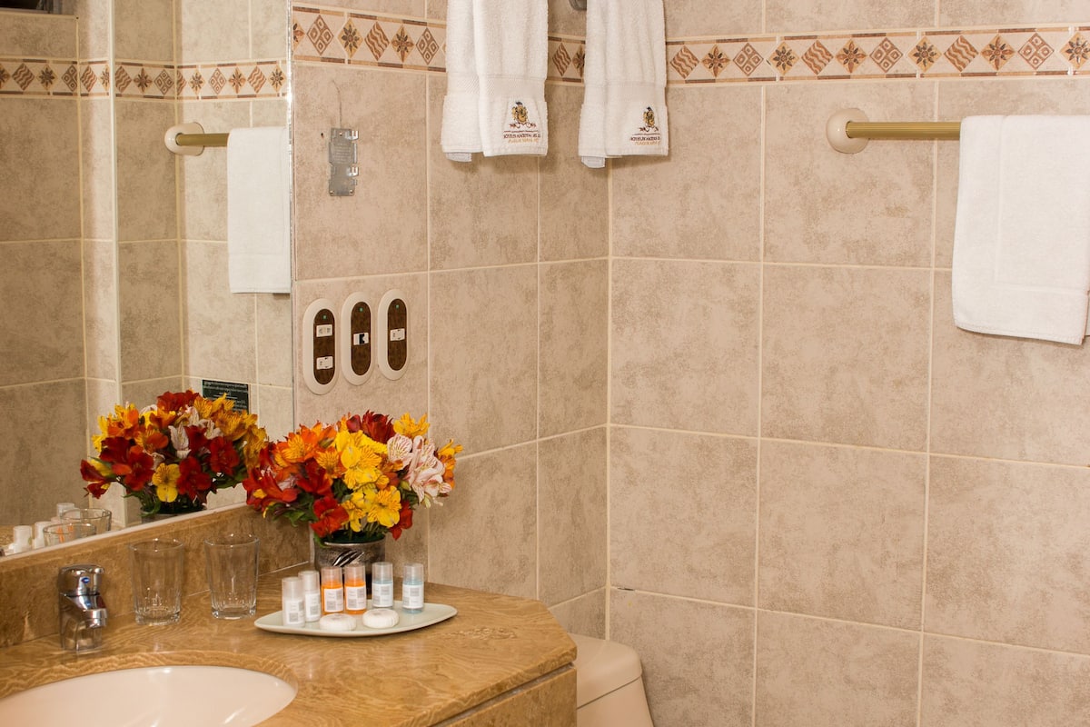 combined shower/bathtub, free toiletries, hair dryer, towels