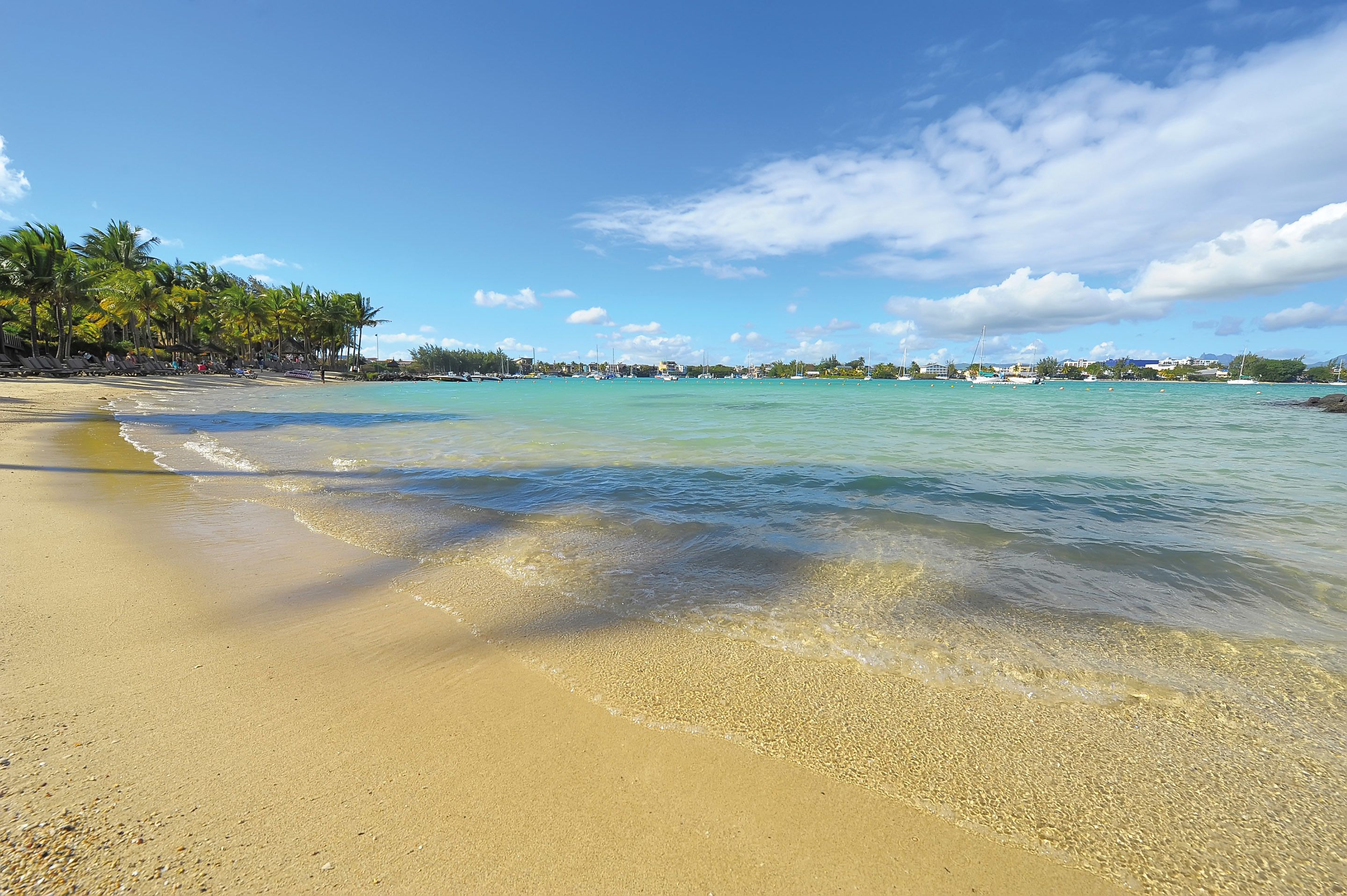 A beach with clear turquoise water, palm trees, and a distant shoreline with buildings.
