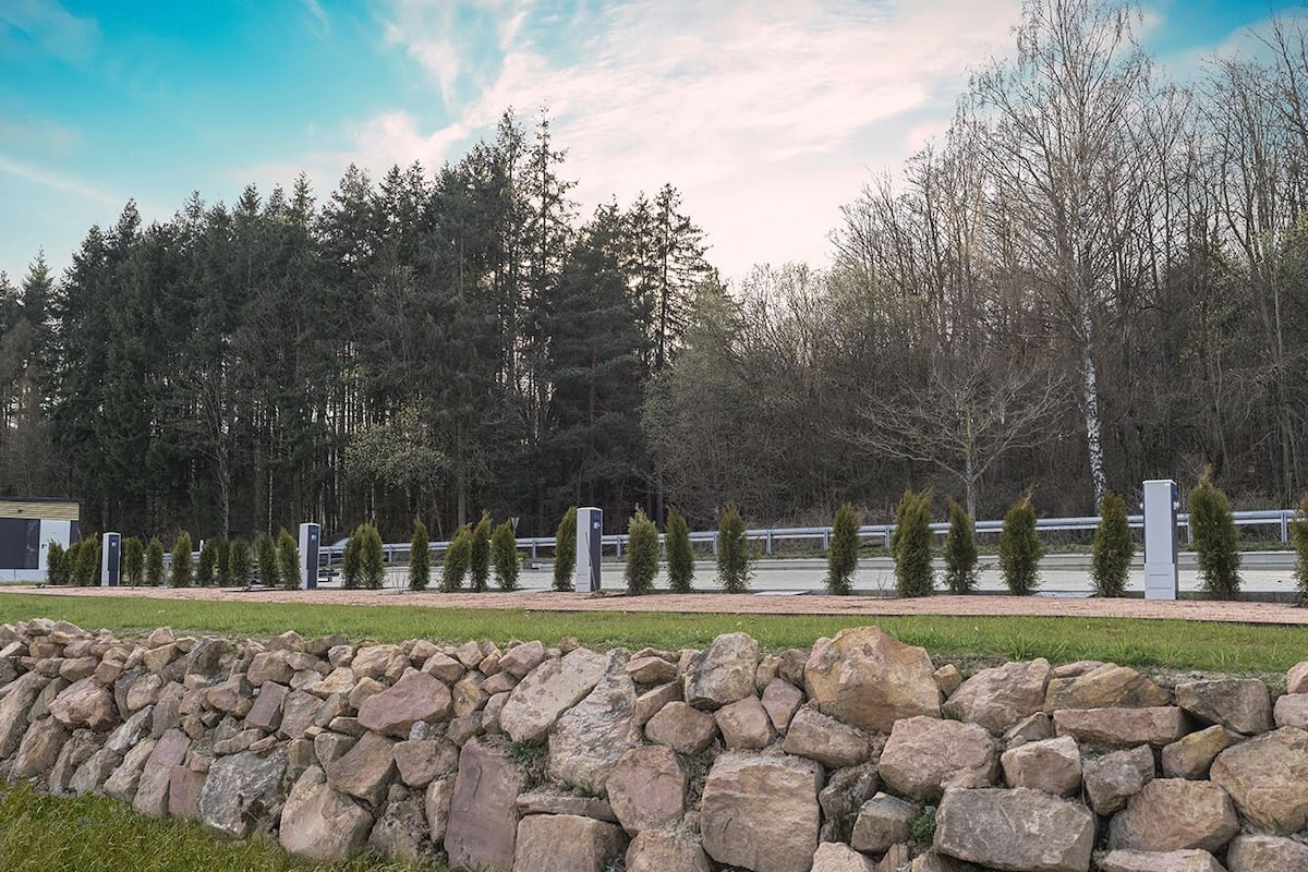 Un mur de pierre, une zone herbeuse et une rangée d’arbres.