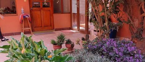 A courtyard with potted plants, a wooden door, and a sign indicating 'SALIDA' (exit).
