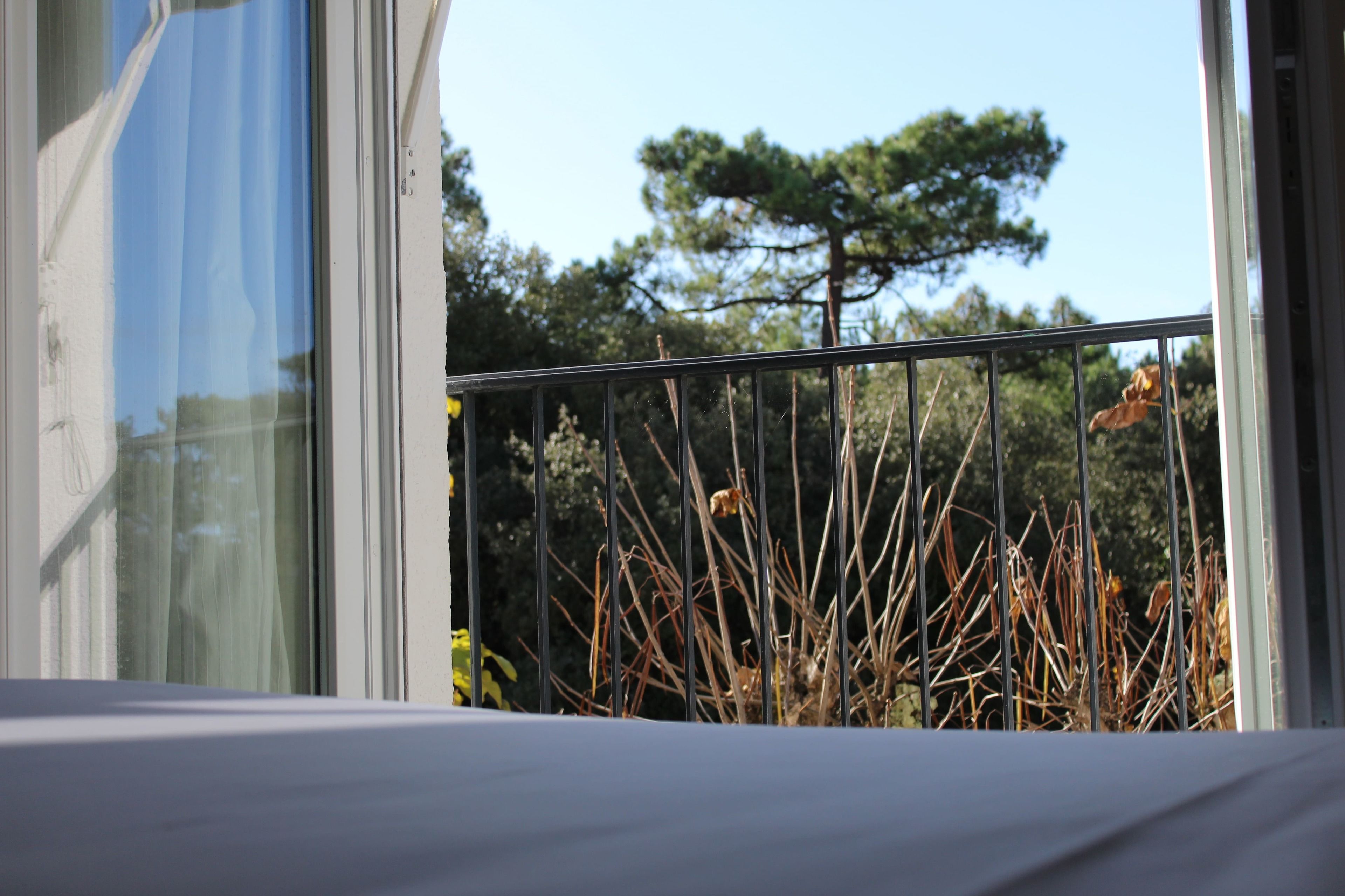 comfort double room (forêt) | individually decorated, individually furnished, desk, blackout curtains