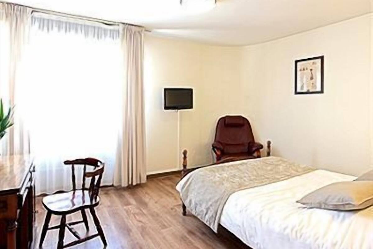 Single Room | Desk, cribs (free), rollaway beds (surcharge), WiFi (free)