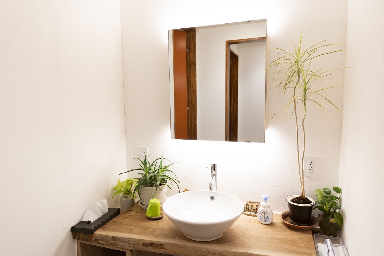 A bathroom with a wooden vanity, a white sink, a mirror, and several potted plants.