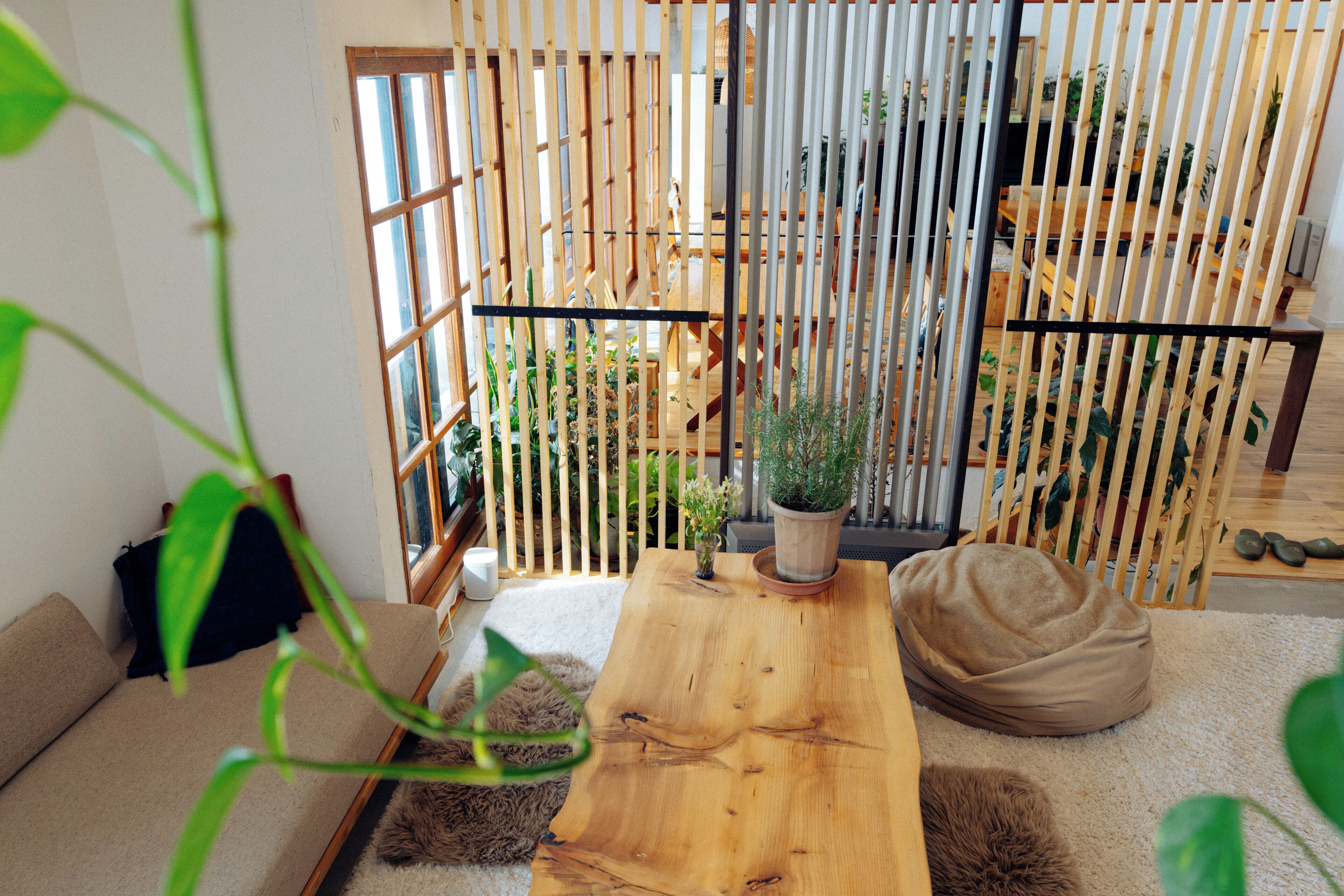 Televisión LCD de 43 pulgadas con canales digitales y televisión 