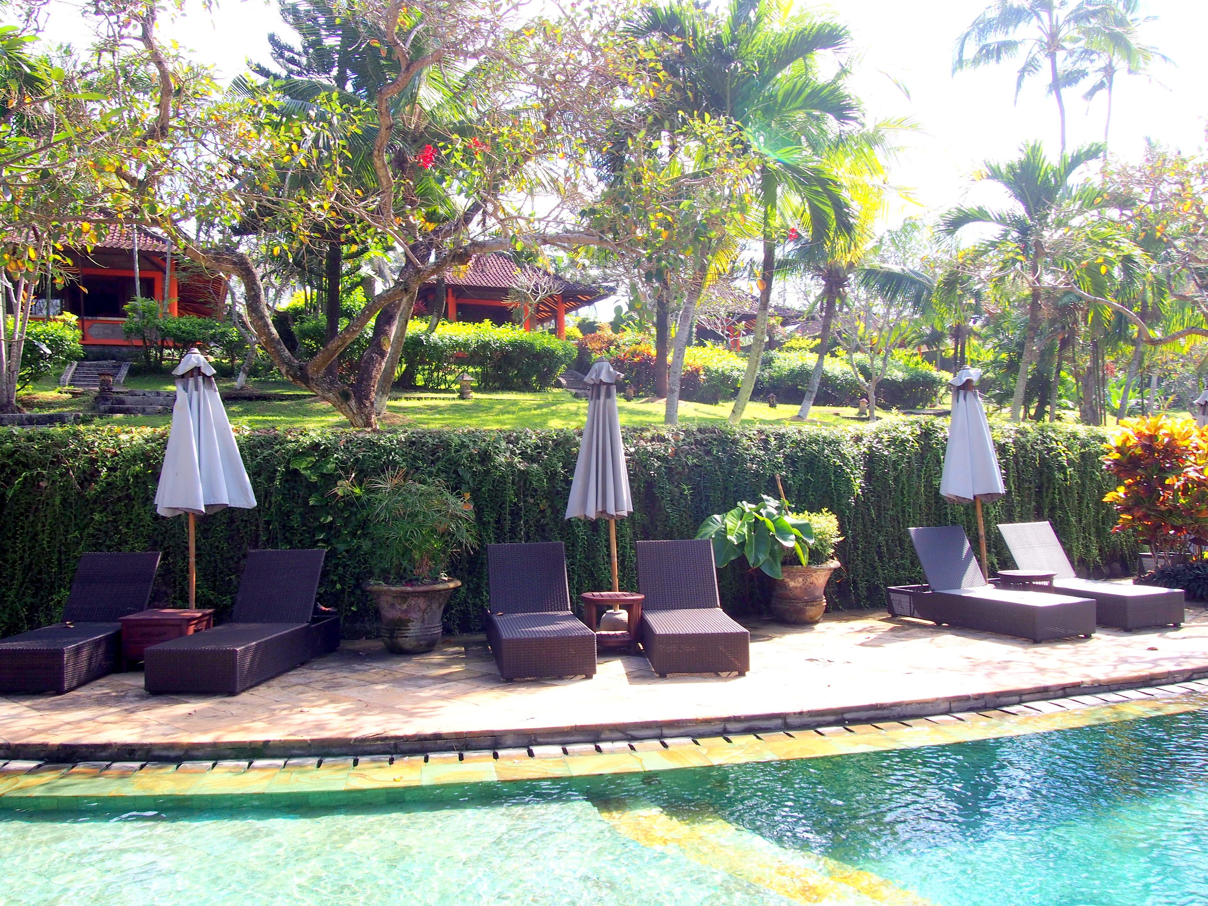 superior room | outdoor pool | outdoor pool, open 8:00 am to 7:00 pm, pool umbrellas, pool loungers