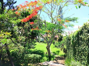 A garden pathway with a variety of trees and shrubs, leading to a grassy area. - Gajah Mina Beach Resort (Selemadeg)