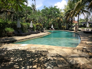 Alberca al aire libre, sombrillas en la alberca y camastros