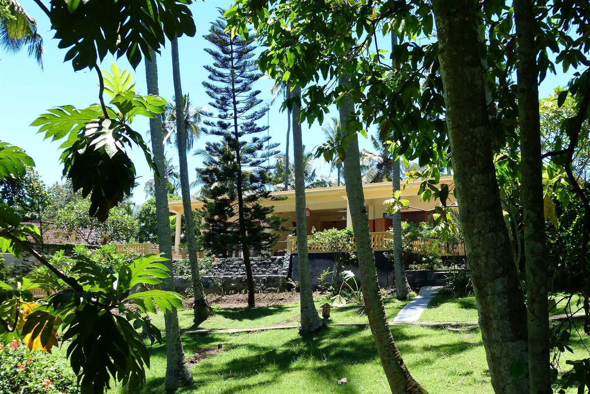 A tropical garden with a pathway leading to a building with a balcony.