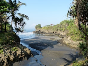 A beach with a rocky shoreline, palm trees, and a small structure in the distance. - Gajah Mina Beach Resort (Selemadeg)