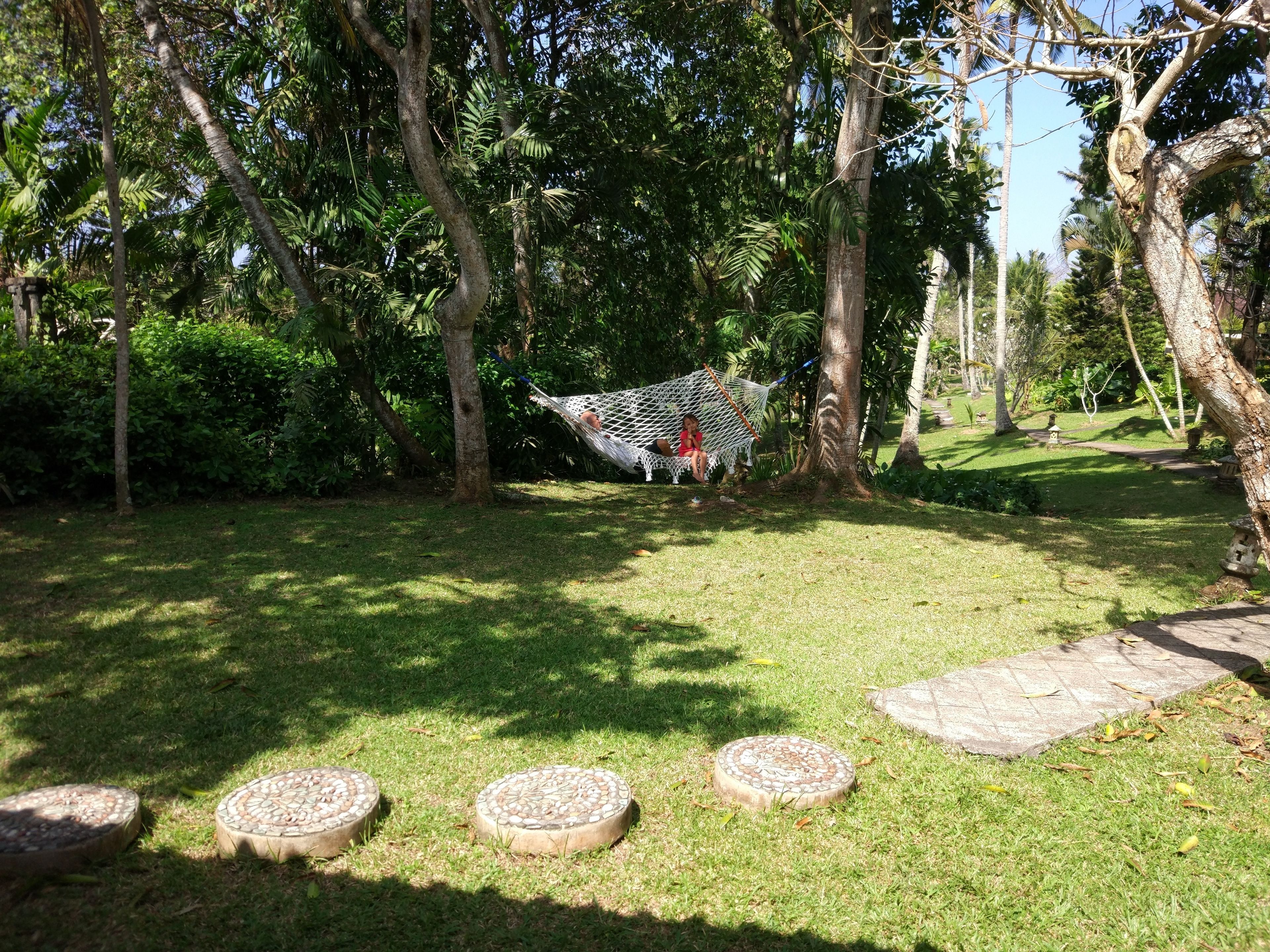A hammock between trees in a lush garden with stone stepping stones.