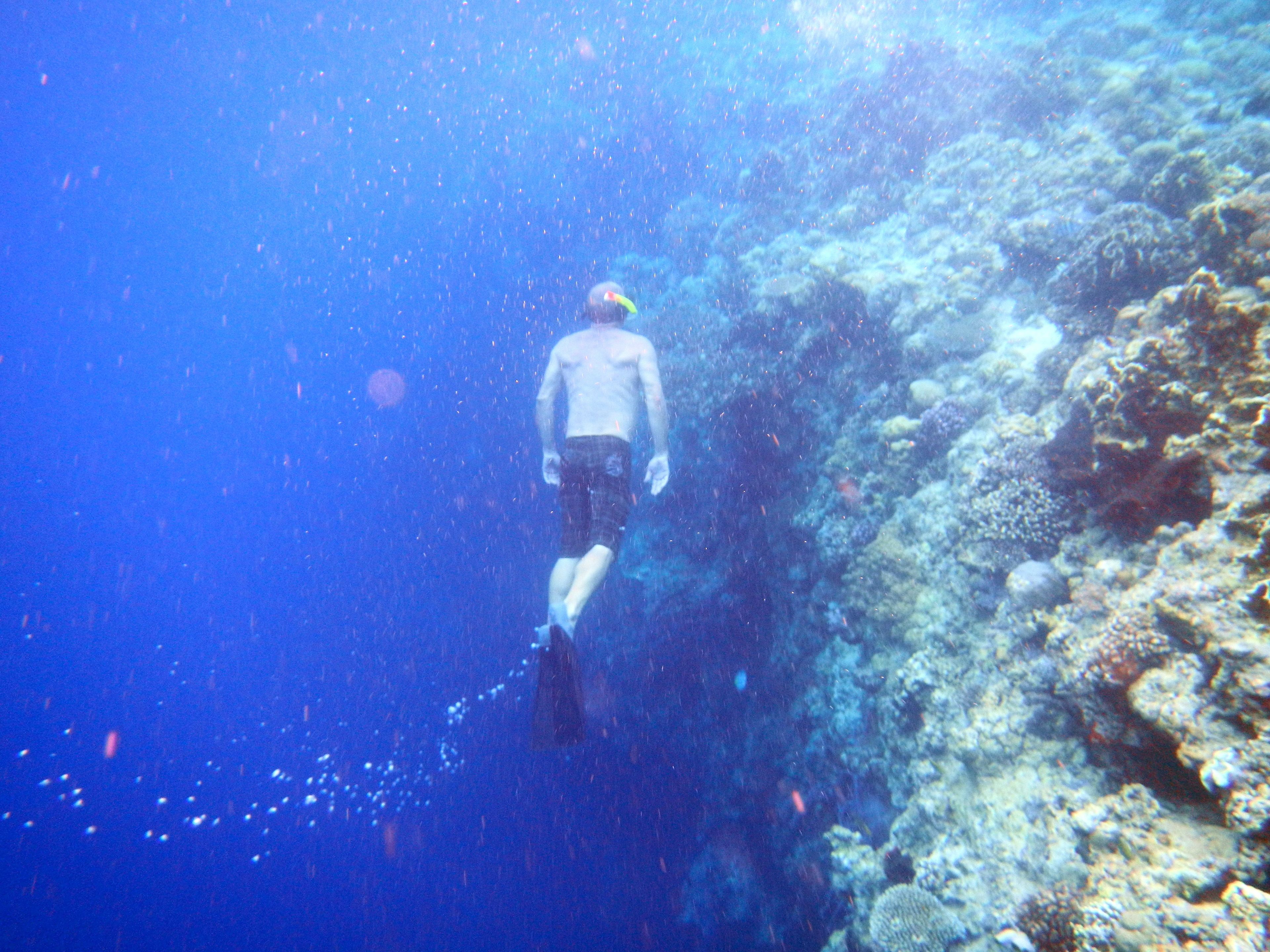 A diver swimming in clear blue water with a coral reef in the background.
