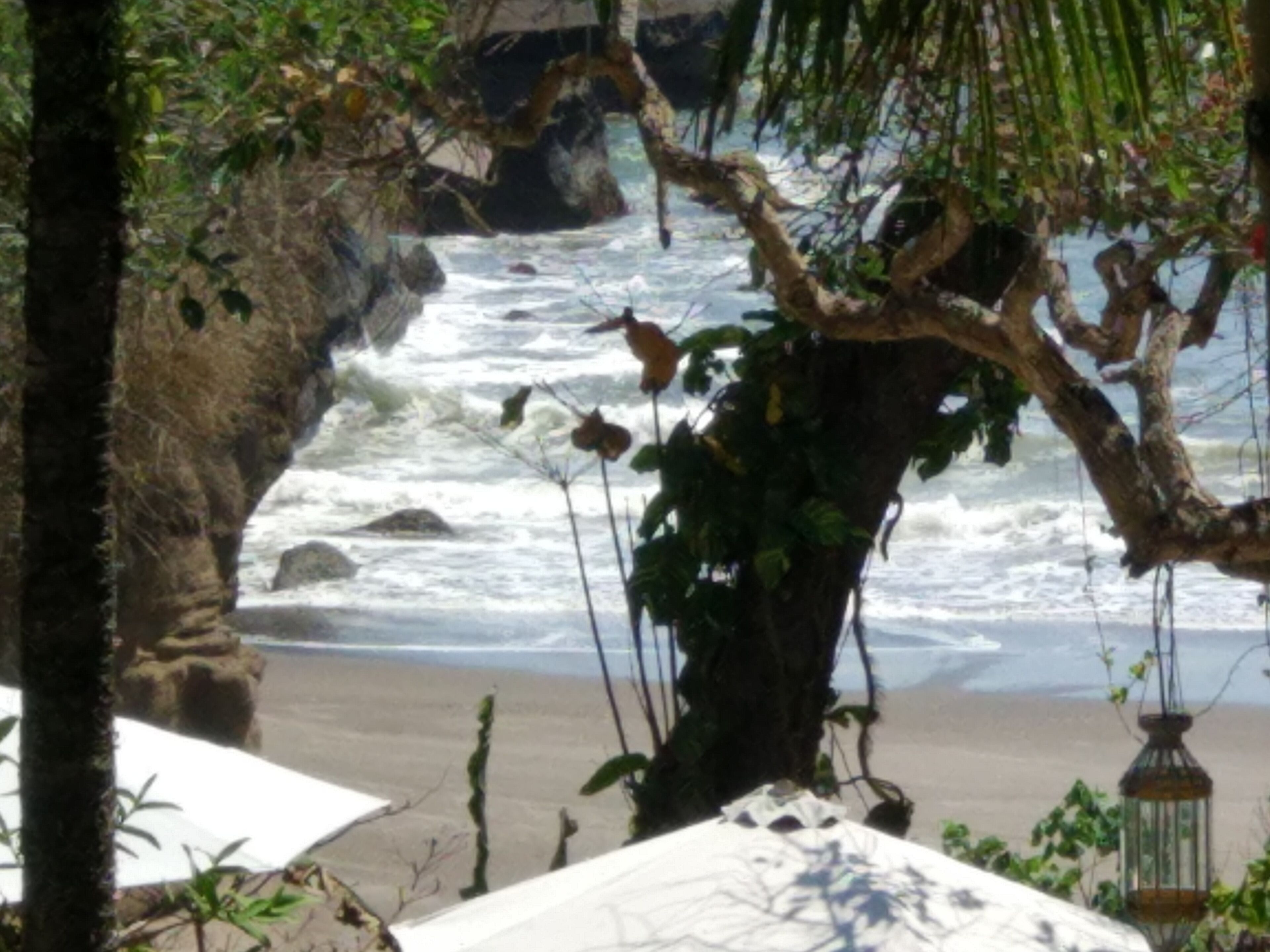 superior room | beach/ocean view