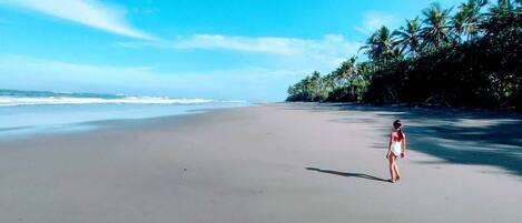 Beach nearby, black sand, beach umbrellas