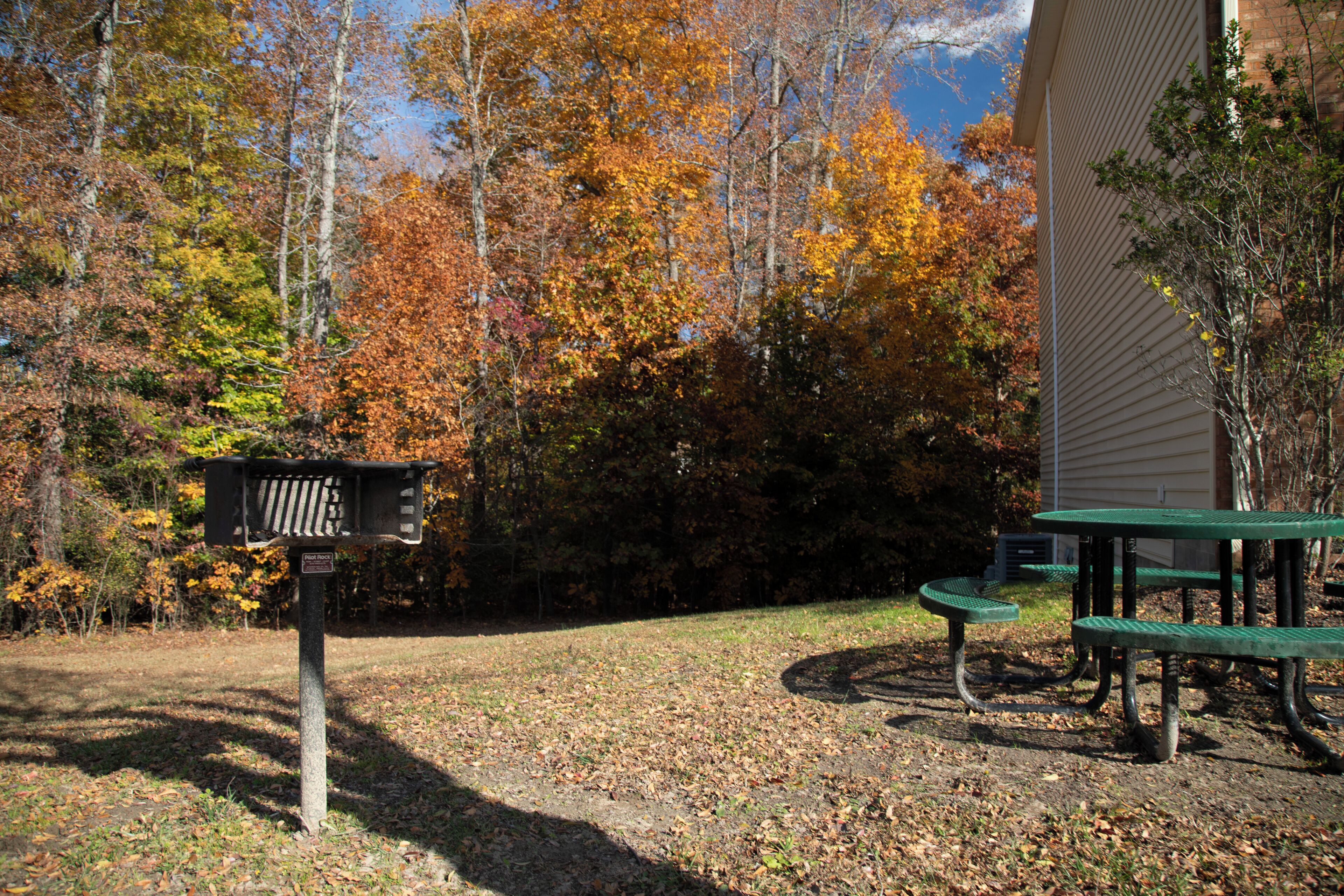 A park with a picnic table and a mailbox.