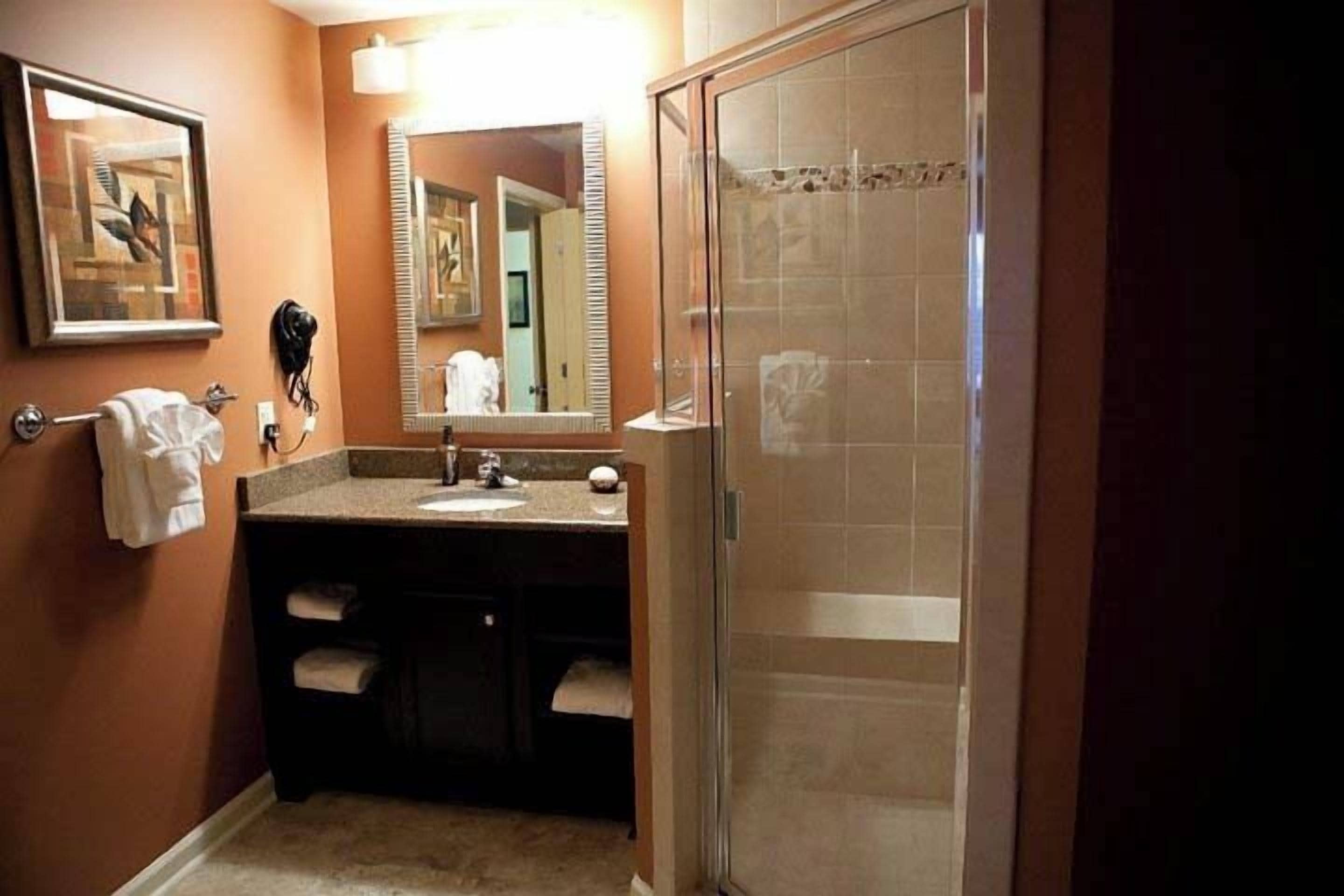 deluxe apartment, 2 bedrooms, kitchen | bathroom shower