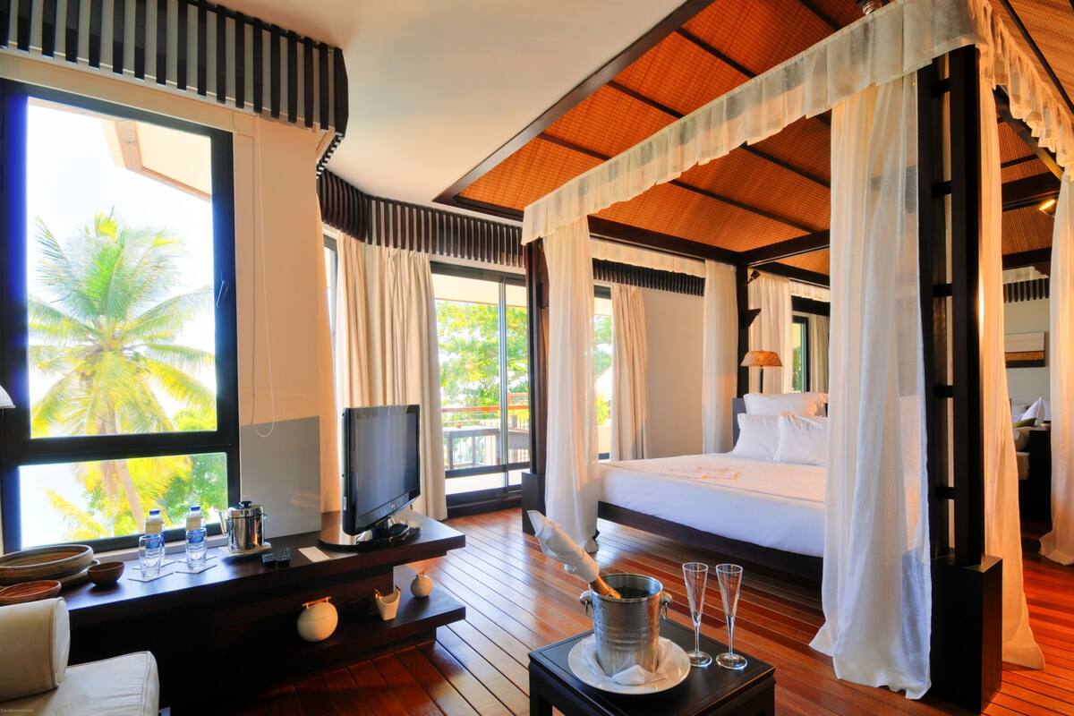 A hotel room with a bed, a TV, a desk with a computer, and a large window with a view of palm trees.