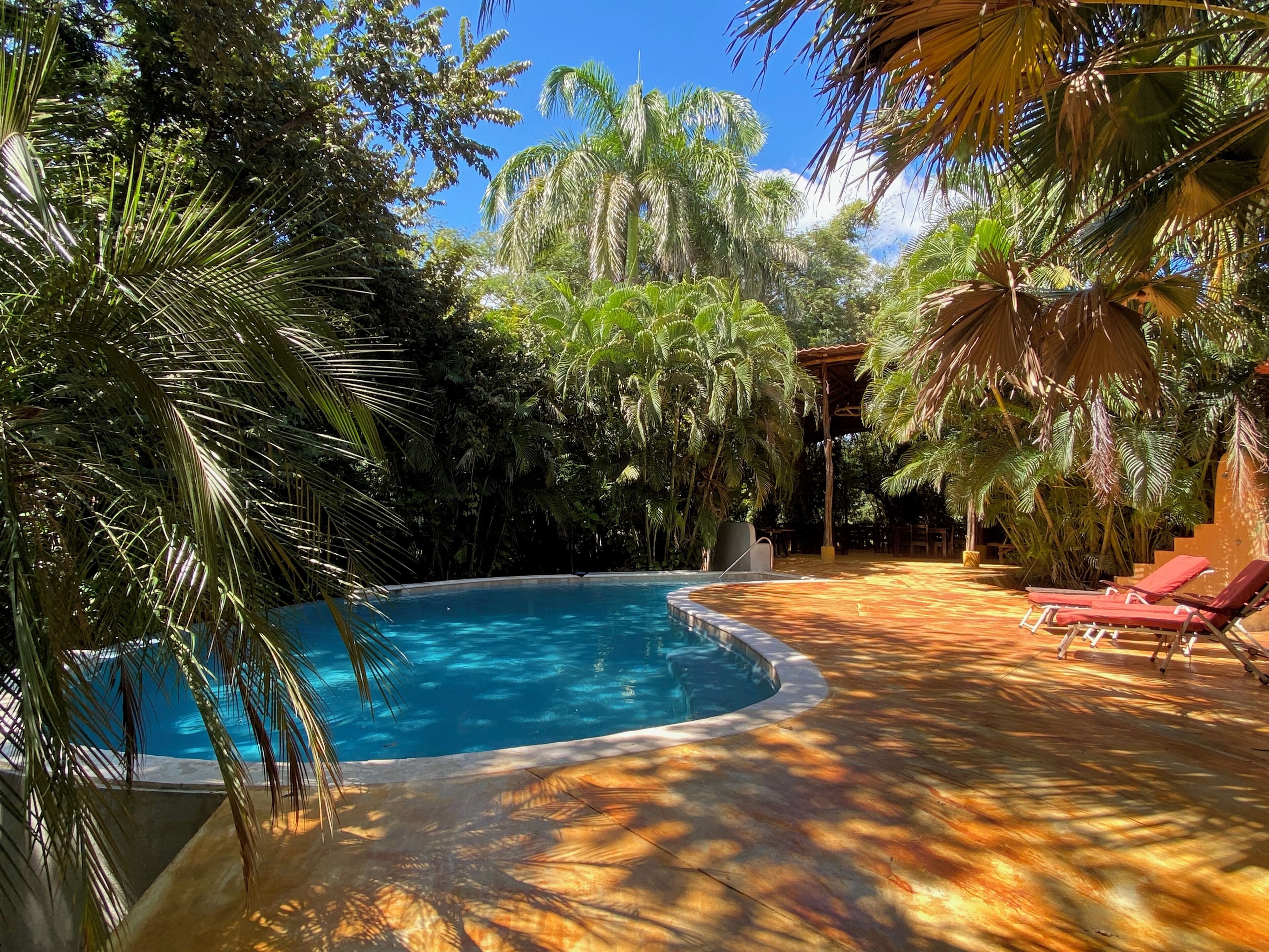 African Cabin | Piscina | Piscina all'aperto, lettini