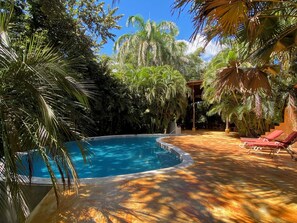 African Cabin | Piscina | Una piscina al aire libre, tumbonas