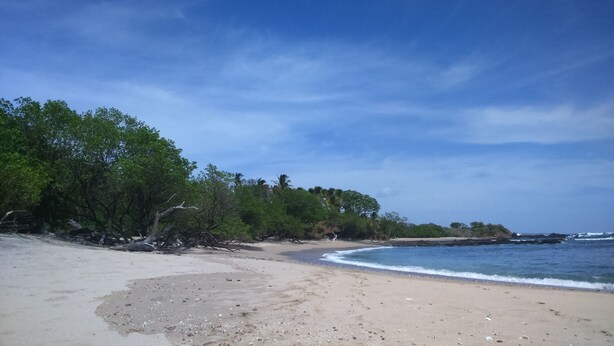 Une plage avec un rivage sablonneux, des arbres et un ciel dégagé.