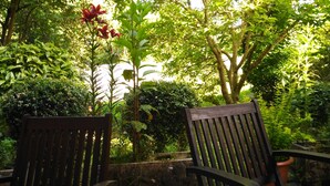 Deux chaises en bois dans un jardin où le feuillage est luxuriant, avec un arbre en arrière-plan.