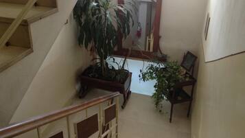 A staircase with a wooden handrail, a potted plant, a chair, and a door with a mirror.