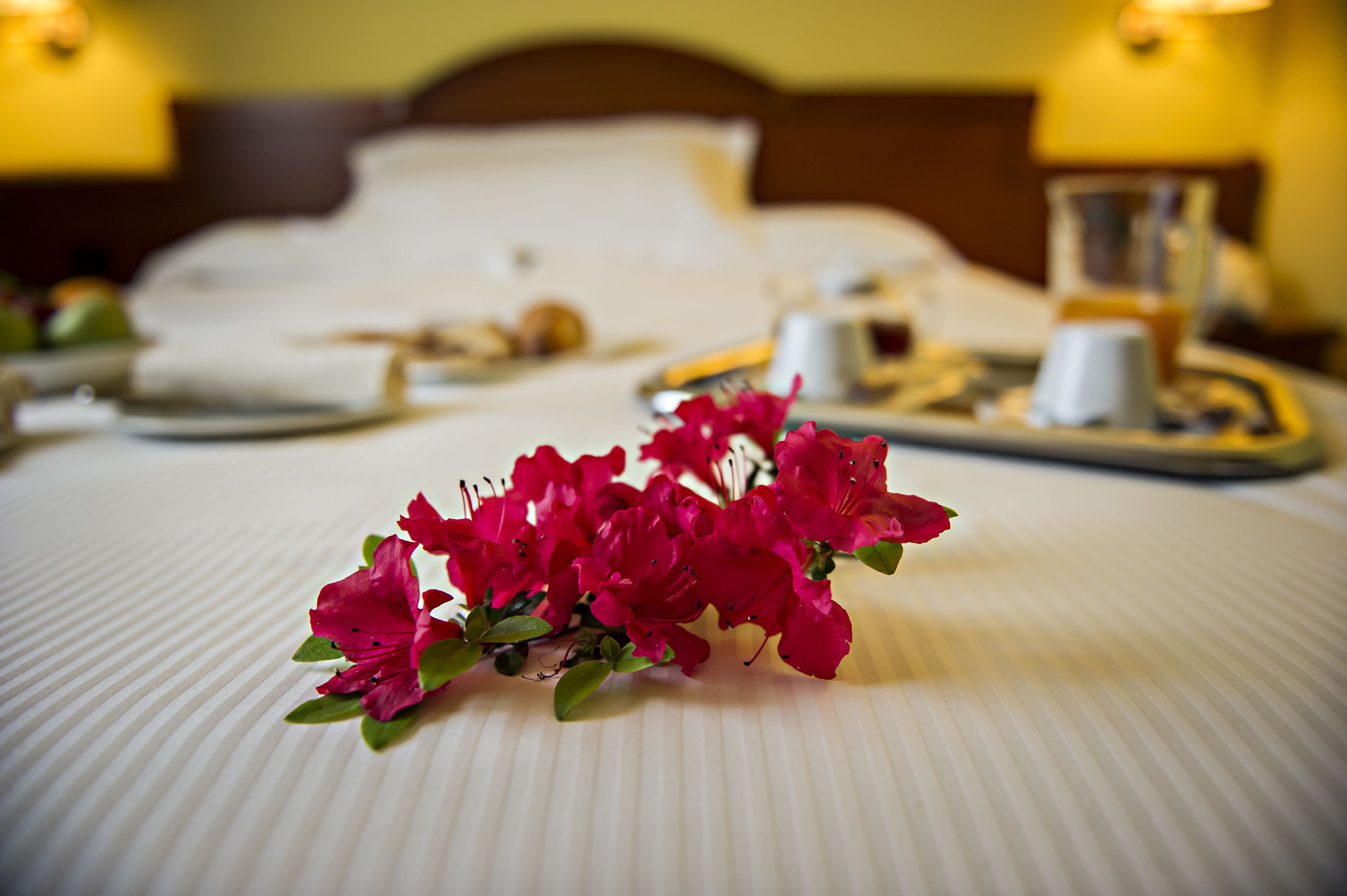 Una habitación de hotel con una cama bien hecha, una bandeja con una taza y un vaso, y un ramo de flores rosas sobre la cama.