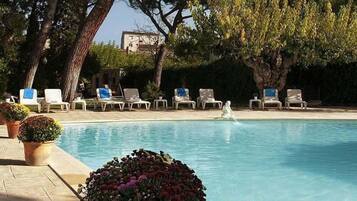 Outdoor pool, sun loungers